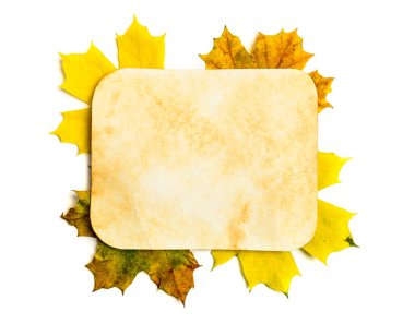 sonbahar yaprakları eski kağıt sayfası