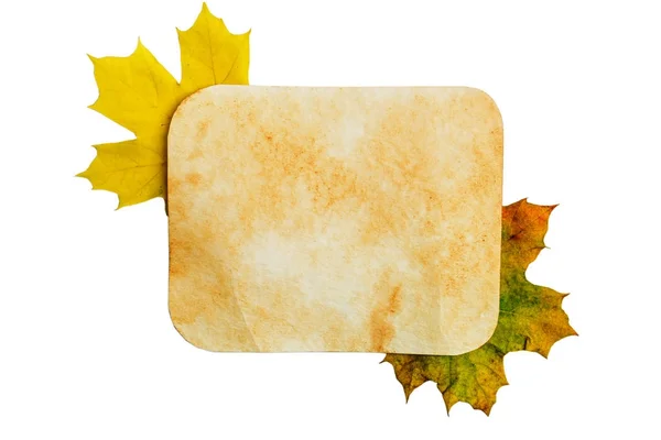 Stara strona papieru na jesienią liście — Zdjęcie stockowe