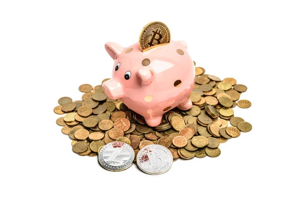 Банк монет свиньи с биткойном — стоковое фото