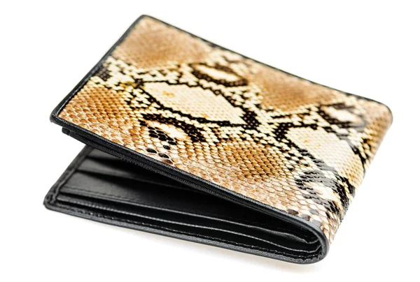 Зміїний шкіряний гаманець — стокове фото