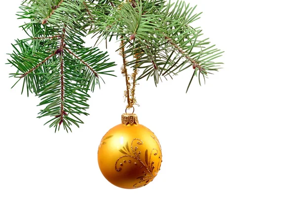 Christmas bauble hanged on christmas tree — Stock Photo, Image