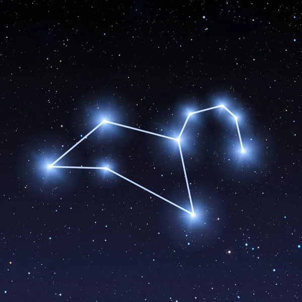 Leo constellation map in starry sky