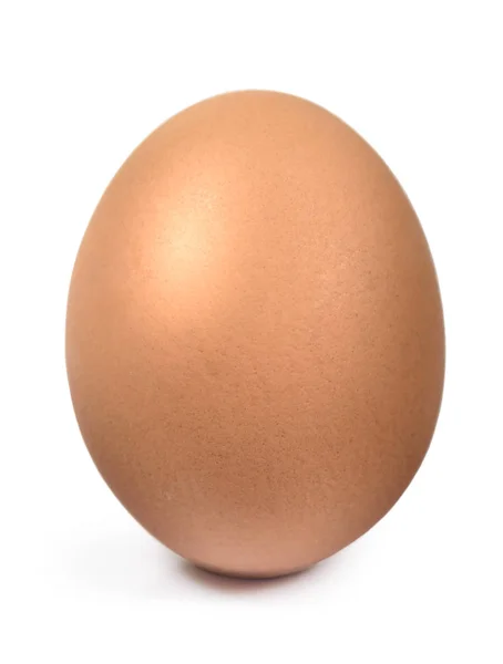 Telur ayam cokelat tunggal diisolasi dengan tapak kliping — Stok Foto