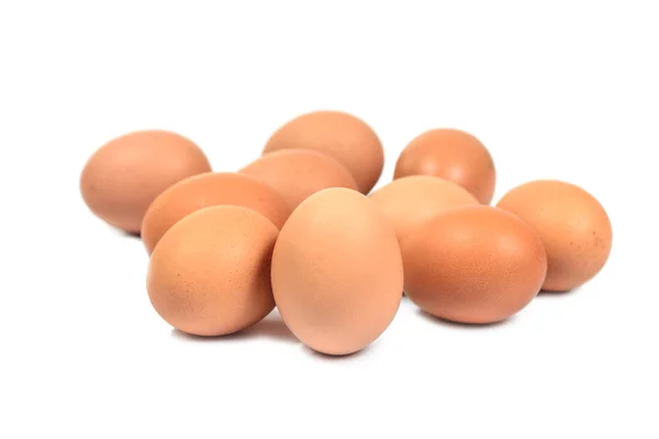 Feche o grupo de dez ovos isolados no fundo branco. Castanho e — Fotografia de Stock