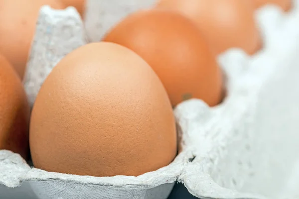 Коричневі яйця в картонній упаковці макро — стокове фото