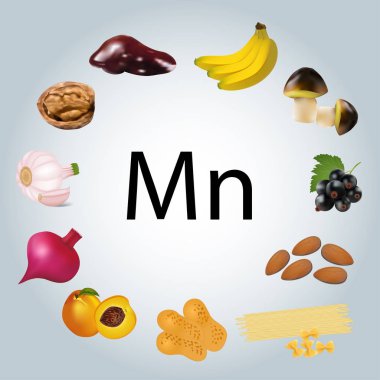 Illustration of foods rich in manganese clipart