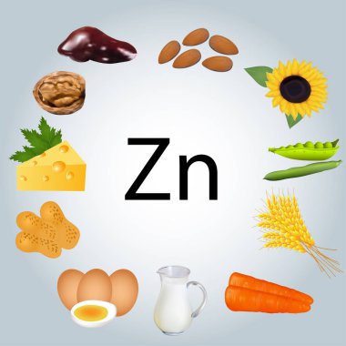 Çinko zengin besin Illustration. Sağlıklı beslenme