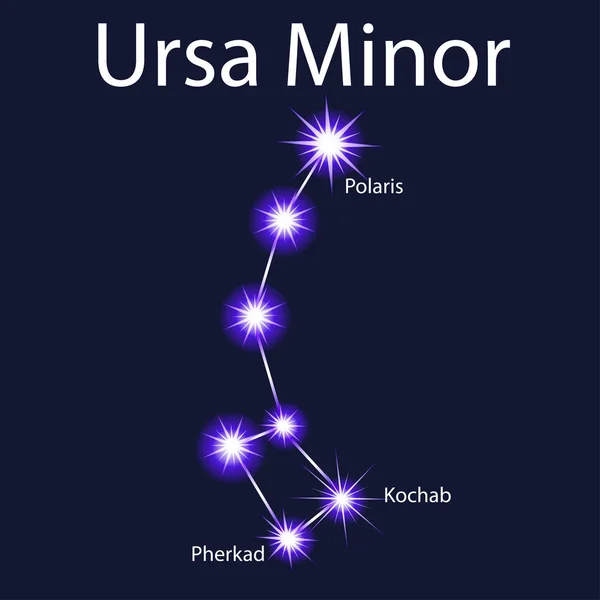 Illustration constellation Ursa Mineure avec étoiles Pherkad, Kocha — Image vectorielle