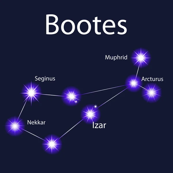 Illustration constellation Bottes aux étoiles Muphrid, Seginus , — Image vectorielle
