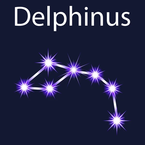 Constelação de ilustrações Delphinus com estrelas no céu noturno —  Vetores de Stock