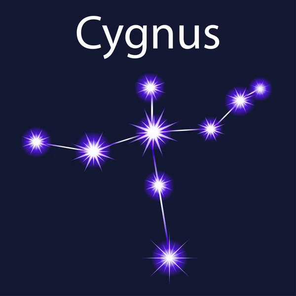Gece gökyüzünde yıldızlar ile illüstrasyon takımyıldızı Kuğu — Stok Vektör