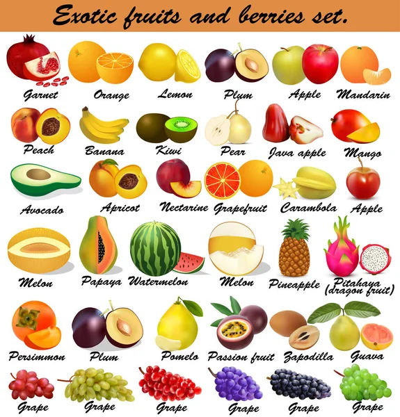 エキゾチックな果物や果実のイラストセット — ストックベクタ