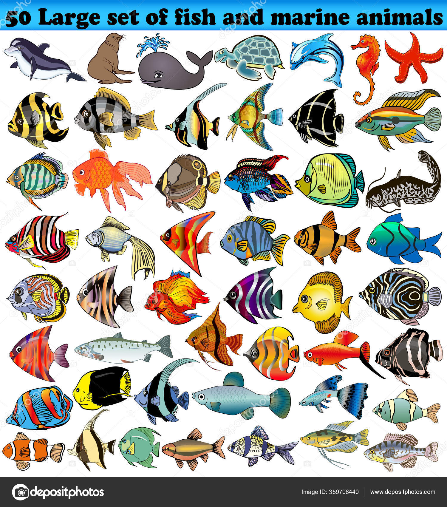 Big Set Fish Sea Animals Isolated White Stock Vector Image by ©Yurkina #359708440 Big Set Fish Sea Animals Isolated White Stock Vector Image by ©Yurkina #359708440