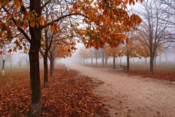 sisli sonbahar park