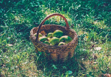 Yeşil çimenlerin üzerinde yeşil elma sepeti