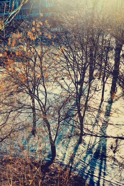 전날 비가 내린 후에 얼어붙은 길이었습니다. 얼음. 위에서 본 경치 — 스톡 사진