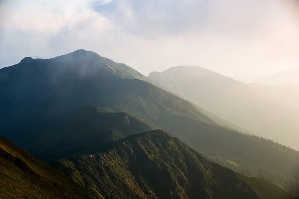 조 경 높은 산의 꼭대기 — 스톡 사진