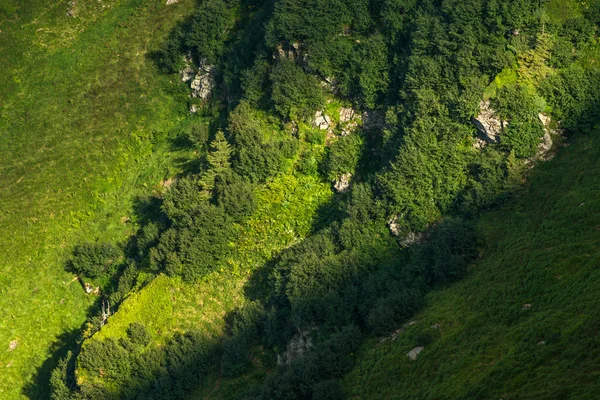 Karpat dağ yamacı