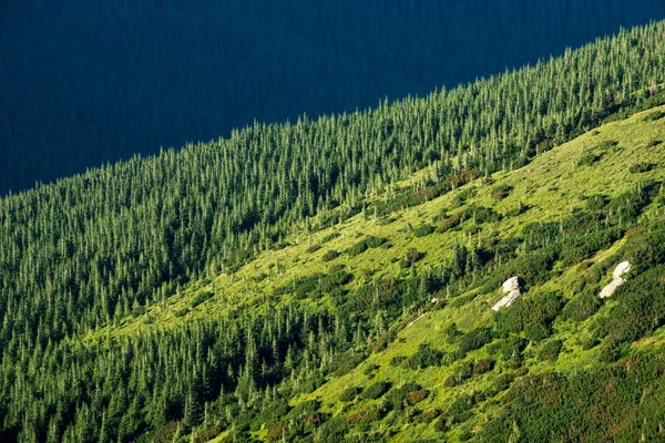 Landschap in de bergen — Stockfoto