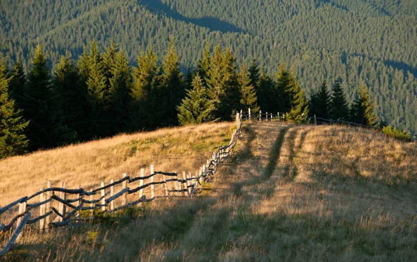 Mountain pasture in the mountains — Stock Photo, Image