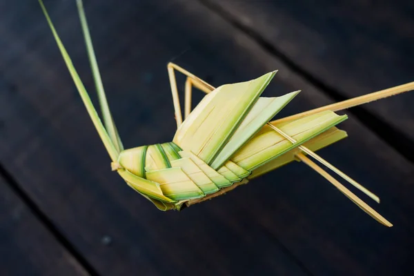 Gräshoppa kreativ, närbild — Stockfoto