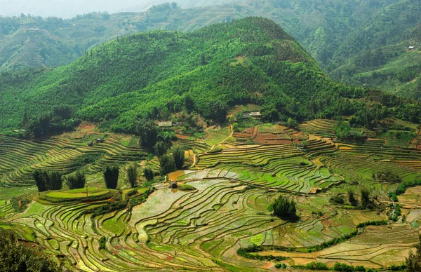 Landschap van het dorp Sapa in Vietnam — Stockfoto