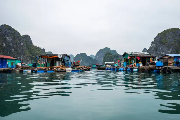 Katze ba Insel, Vietnam. schwimmendes Fischerdorf — Stockfoto
