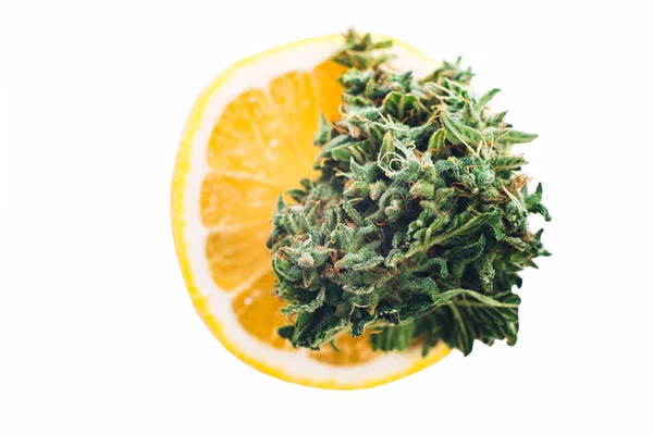 Marihuana medicinal de brote de cannabis — Foto de Stock