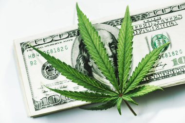 Esrar weedpon weedculture hightimes cannabisculture ot tıbbi Mj