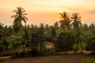 Tropikal kırsal manzara