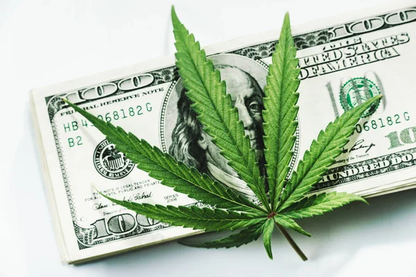 Marihuany weedpon weedculture hightimes cannabisculture chwastów medycznych Mj — Zdjęcie stockowe