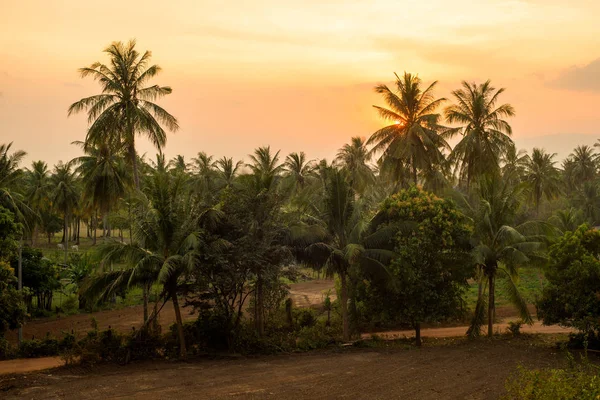 Tropikal kırsal manzara