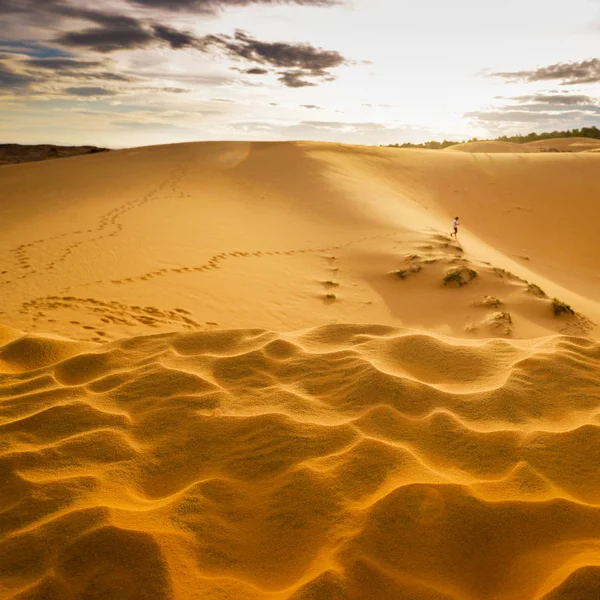 Sanddyner — Stockfoto