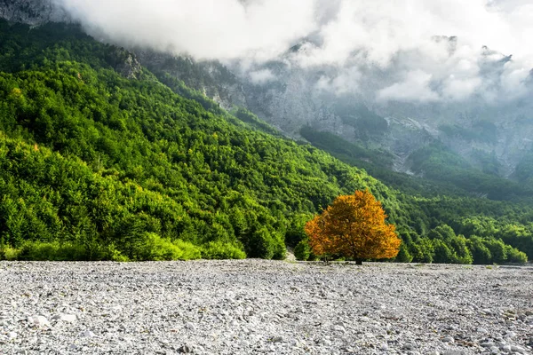 Mountain valley alpine landscape — 스톡 사진