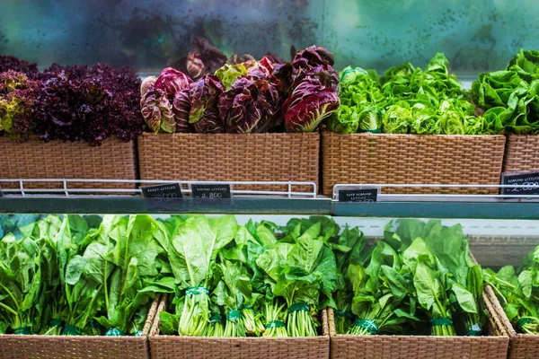 Vihreä pinaatti ja salaatit kaupan hyllyllä — kuvapankkivalokuva
