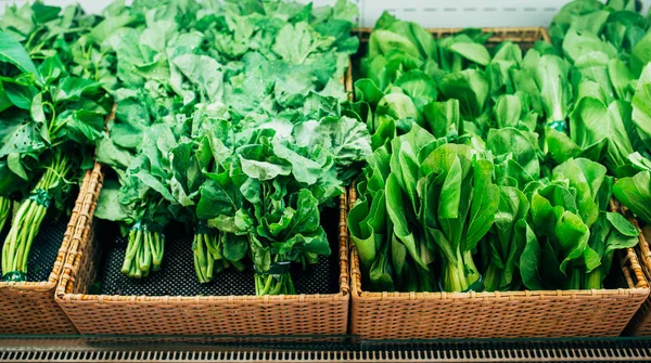 Spinach and leaf salads — Stock Photo, Image