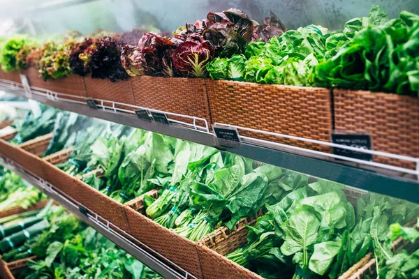 Овощной рынок салатов и зелени в вегетарианском магазине — стоковое фото