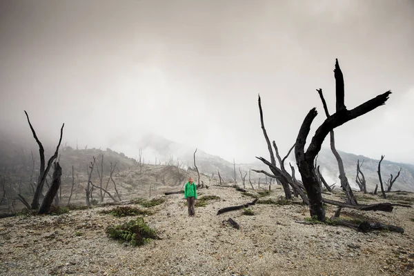 Foresta morta vicino al vulcano, foresta bruciata nella nebbia — Foto Stock
