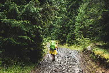 Hafta sonu dağ yürüyüşünde yağmurlu bir gün