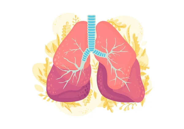 Pulmones Humanos Pacientes Pulmón Vector — Archivo Imágenes Vectoriales