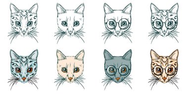 Kedi 'nin el çizimi portresi