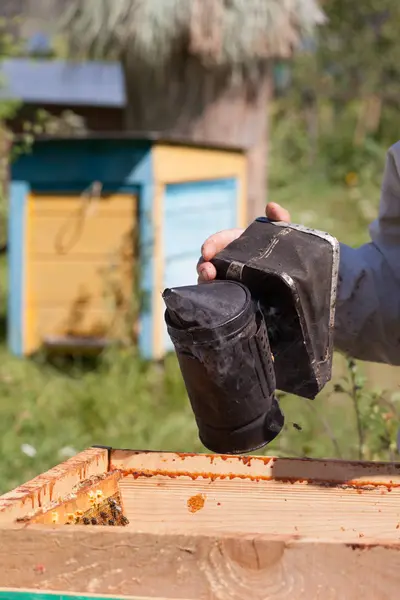 Recortar Vista Voluntarios Con Caja Reciclaje Limpieza Parque Juntos