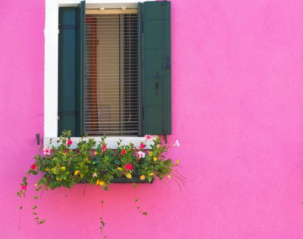 Window shutters closed on pink wall, Burano, Venice