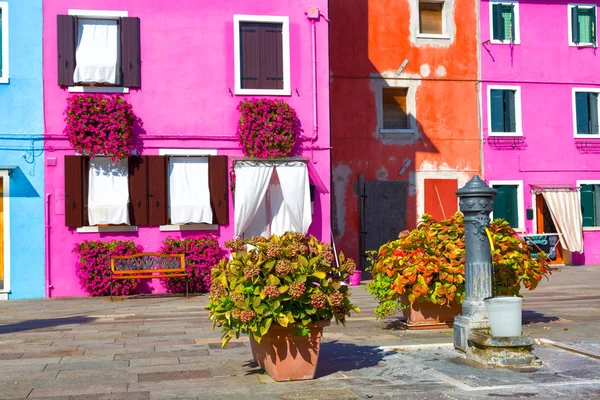 A small courtyard in Burano, with colored walls of houses, a column for water and flowers, Italy