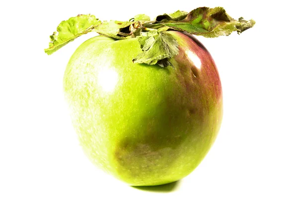 Verse groene appel — Stockfoto