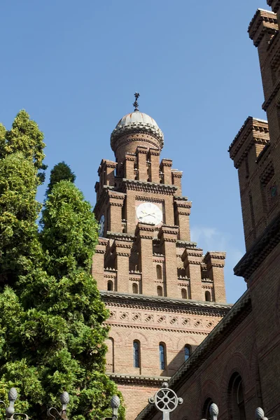 Universidad Nacional de Yuriy Fedkovich Chernivtsi — Foto de Stock