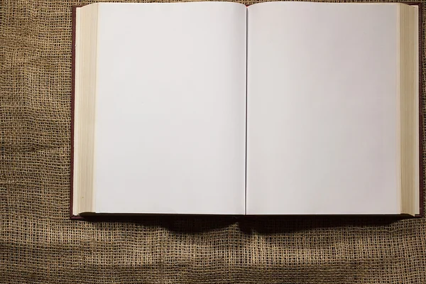 Libro aperto per i record — Foto Stock