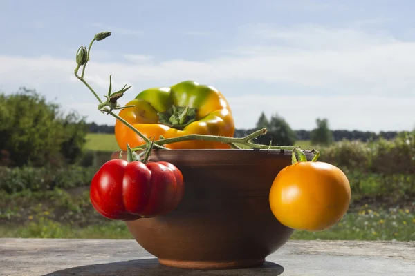 Peperoni e pomodori — Foto Stock