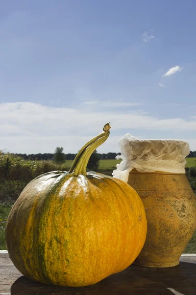 Calabaza madura sobre una mesa de madera —  Fotos de Stock