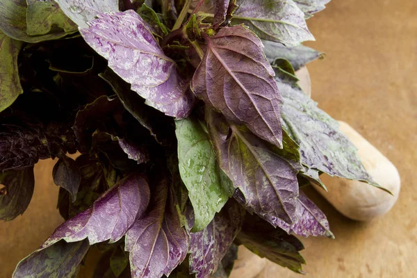 Purple and green basil